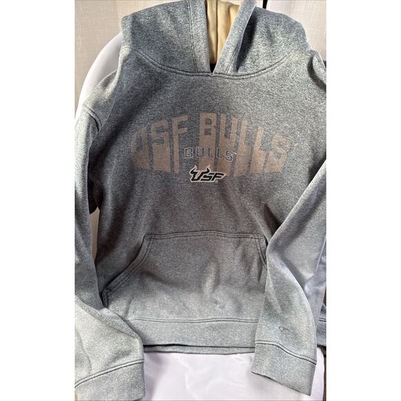 USF Bulls Hoodie Sweatshirt Adult Large Gray Champion Pullover Kangaroo Pocket - Picture 1 of 9
